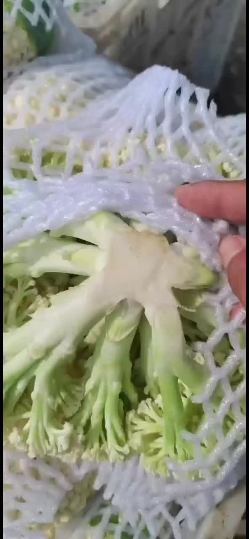 有机花