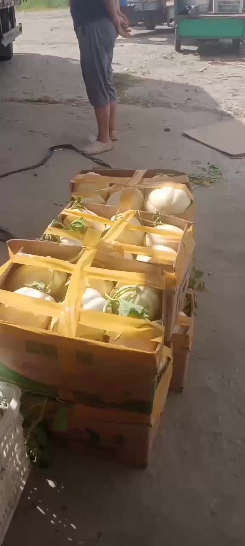 露天西瓜夭走车。来定购。谢谢了