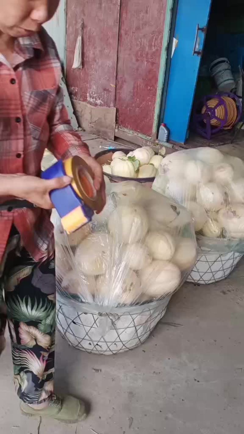 露天西瓜夭走车。来定购。谢谢了