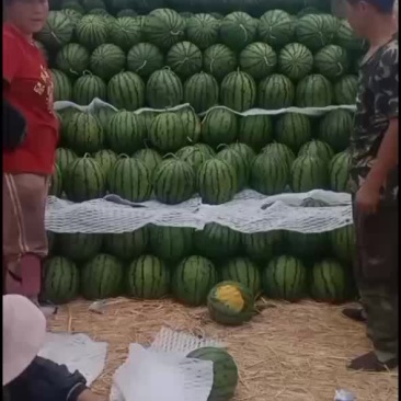 庆红999
