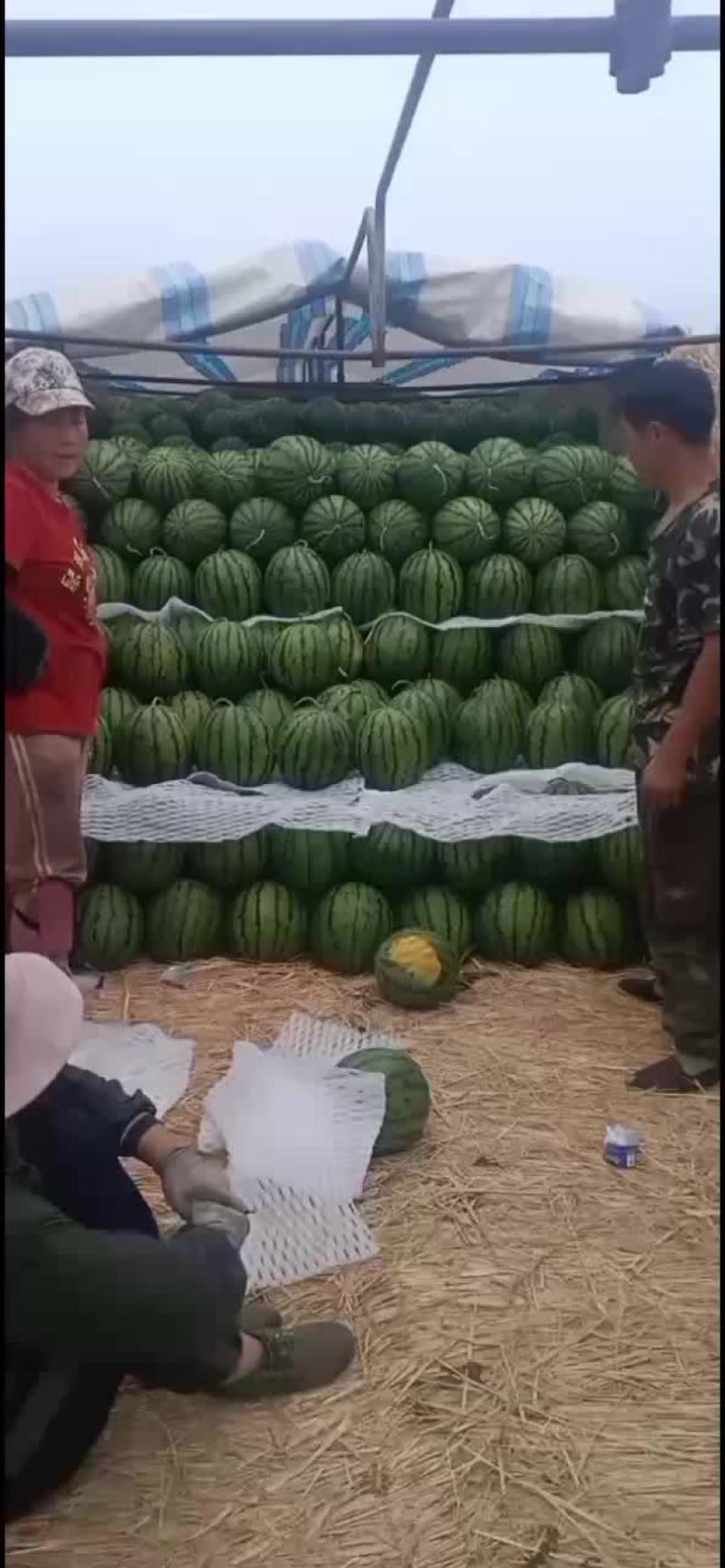庆红999