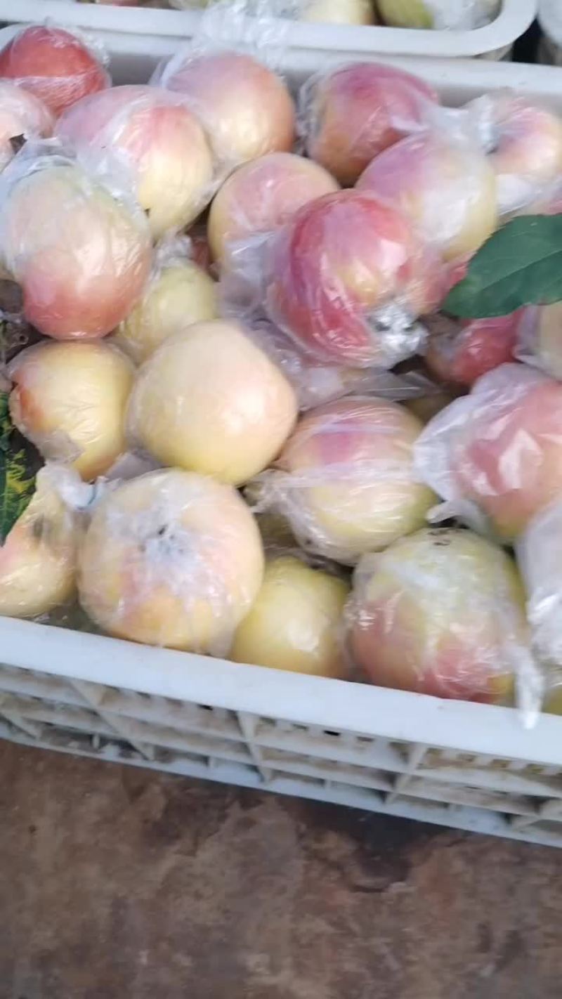 嘎啦苹果