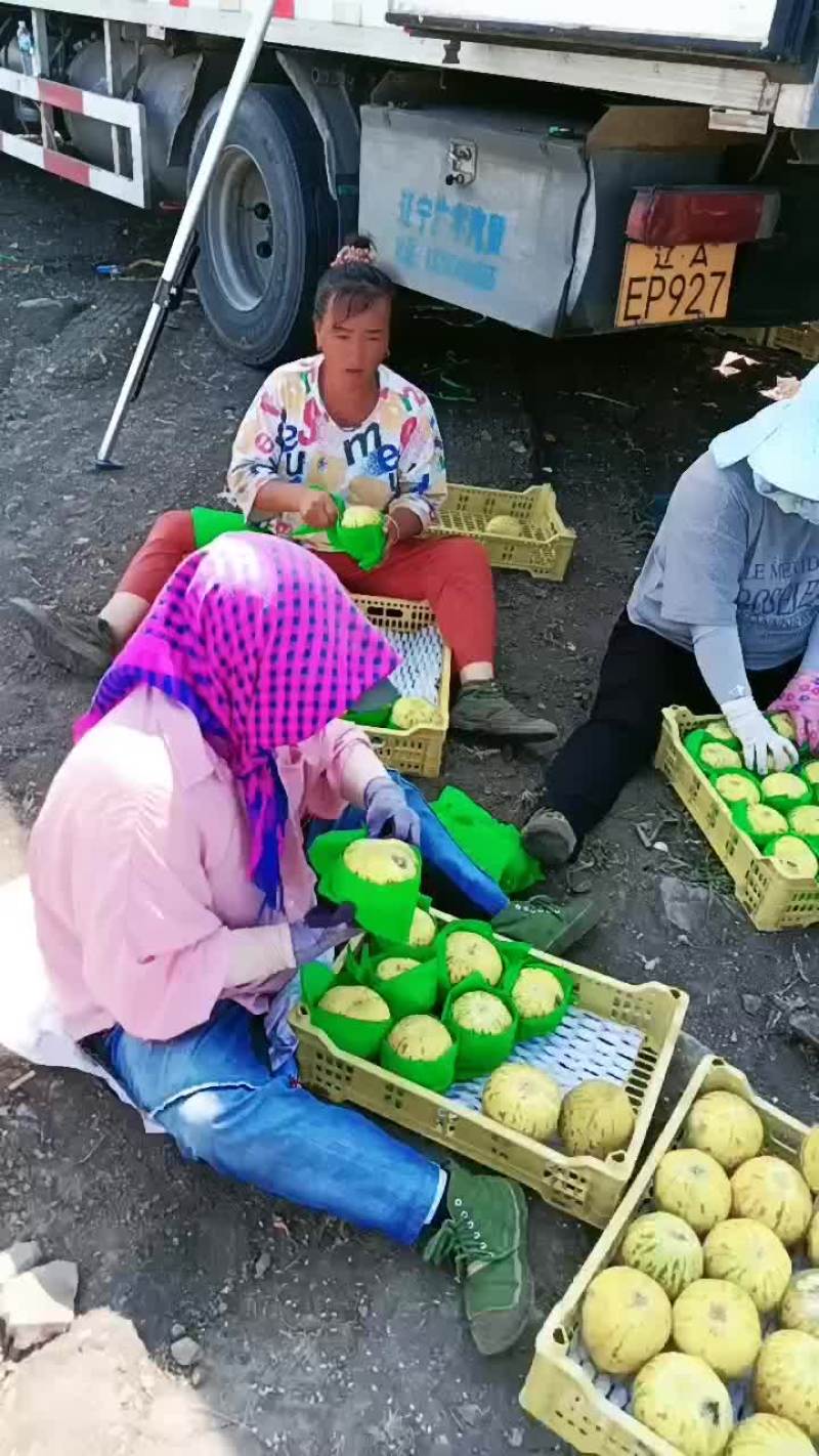 即将开园有想法你就来
