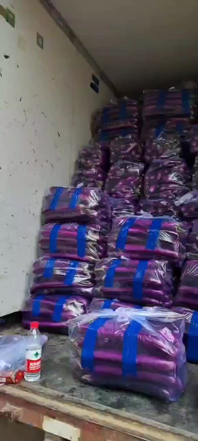 精品广茄