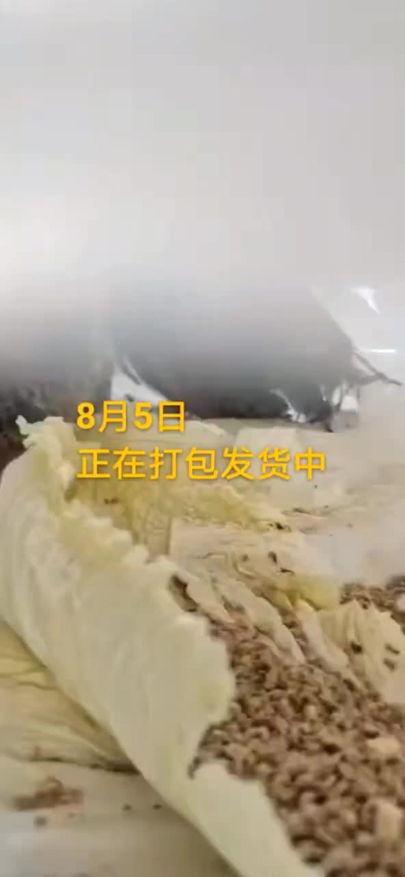 鸵鸟蛋