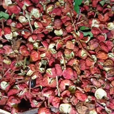 干花椒