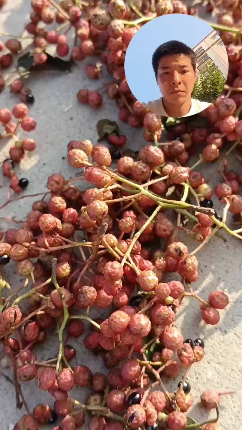 干花椒
