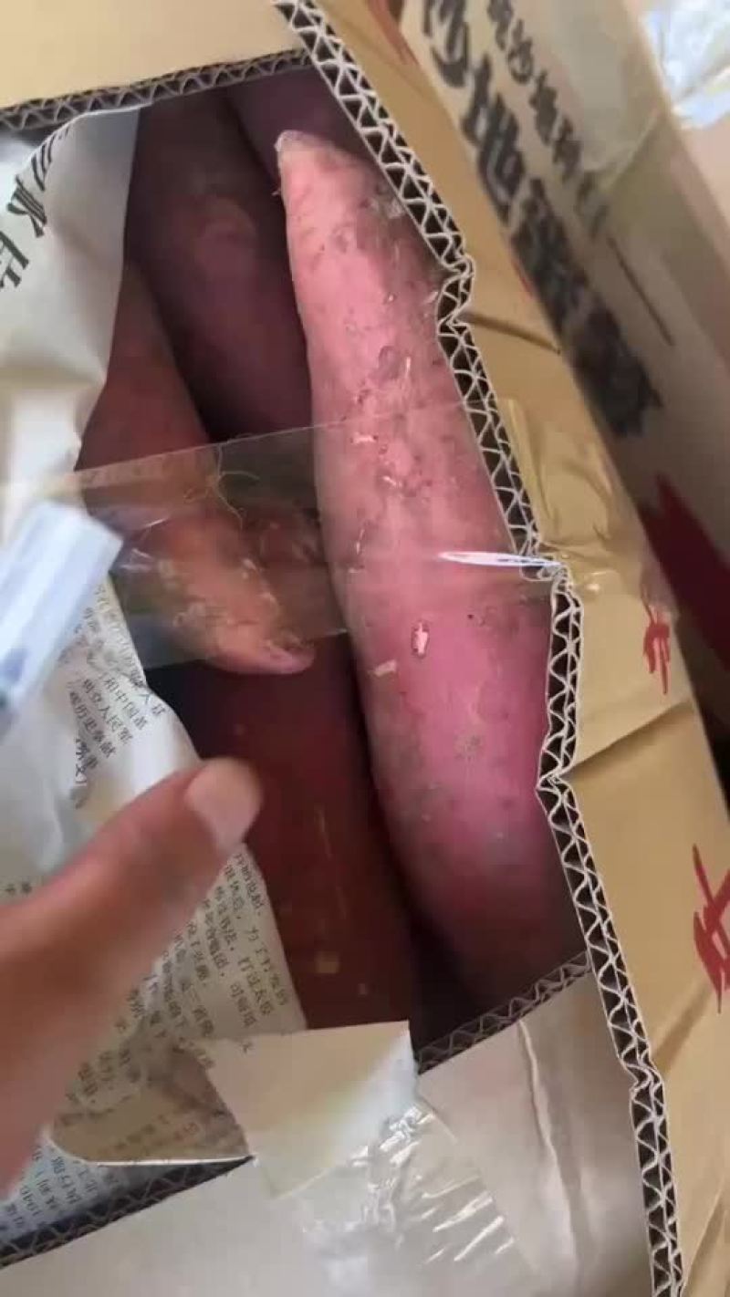 西瓜红商品薯需要的老板联系