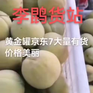 罐头桃