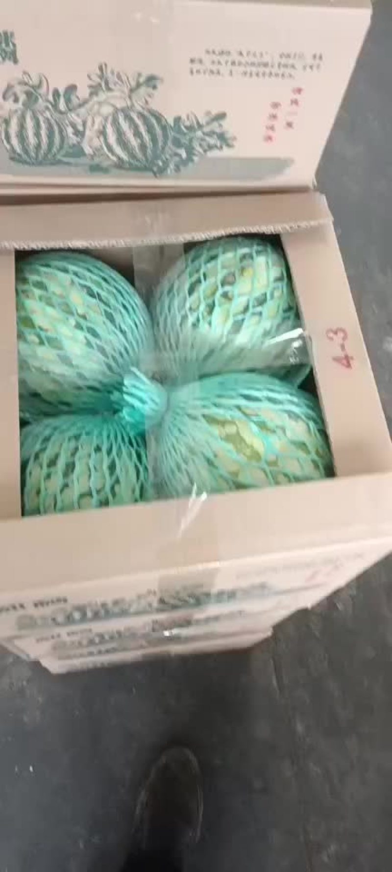 麒麟西瓜