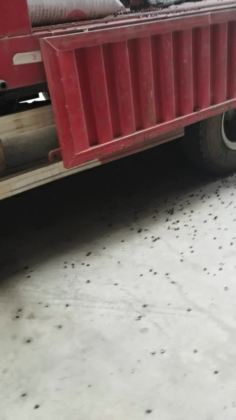 莲子壳
