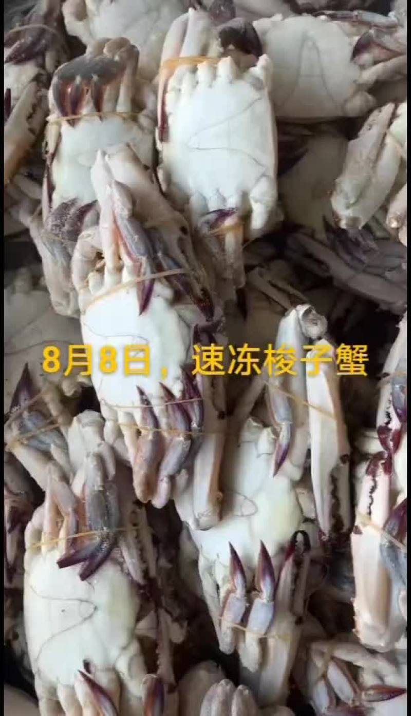 梭子蟹