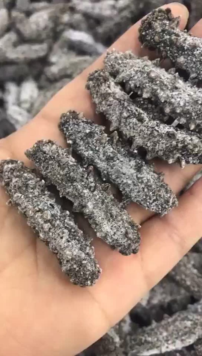 特价促销老淡干海参
