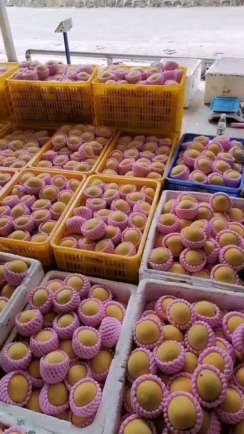 炎陵县锦绣黄桃