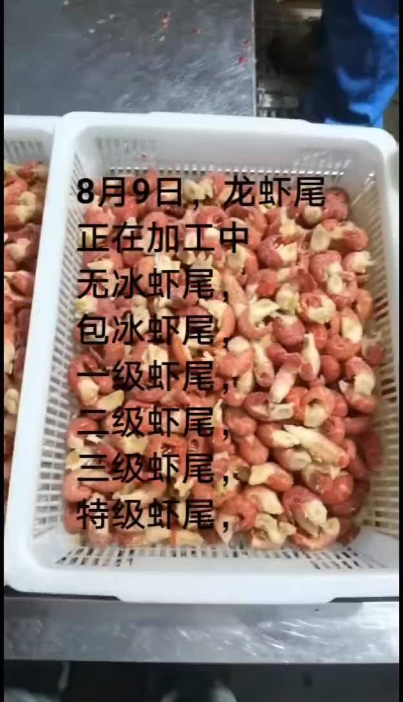 龙虾尾