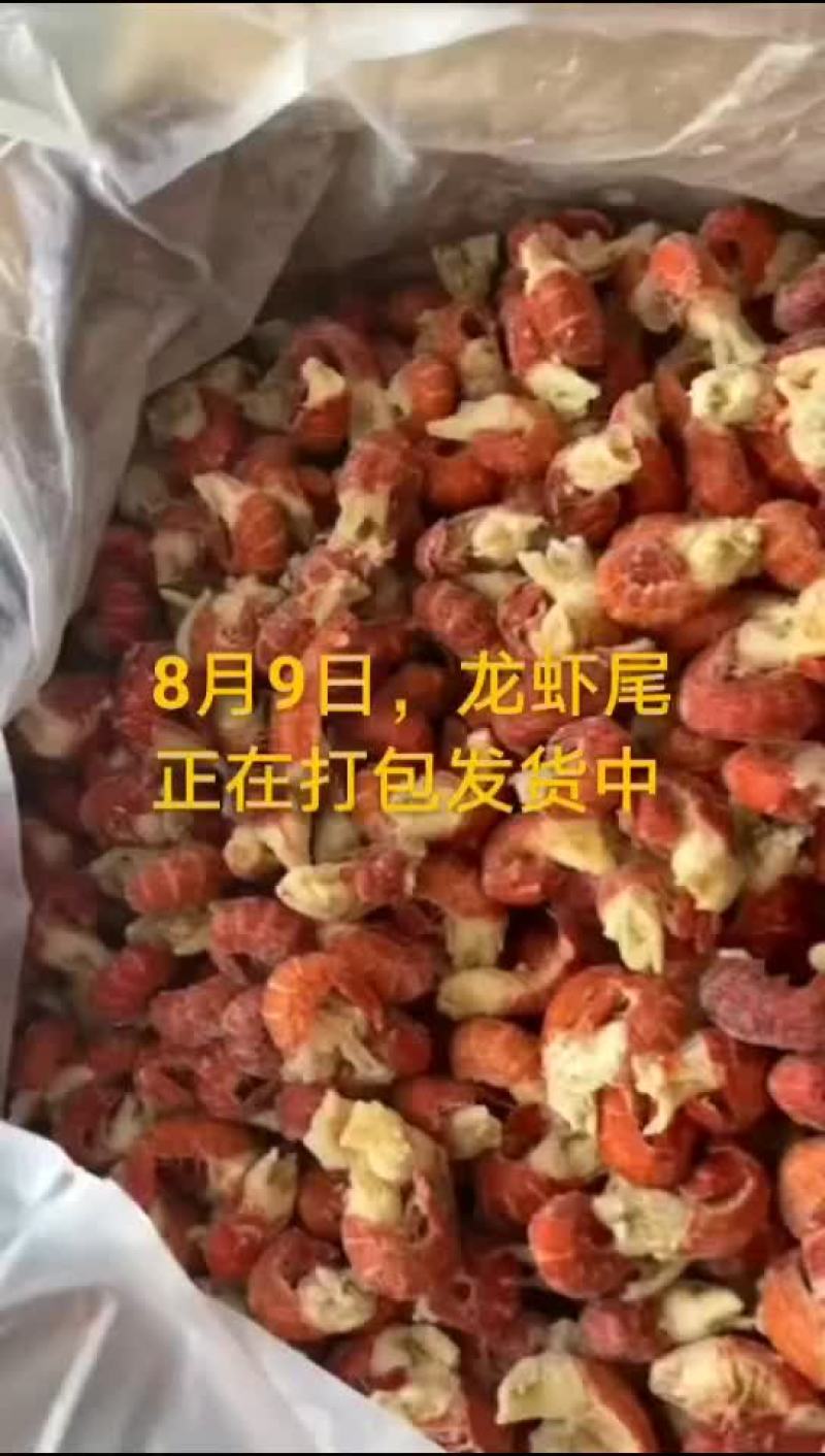 龙虾尾