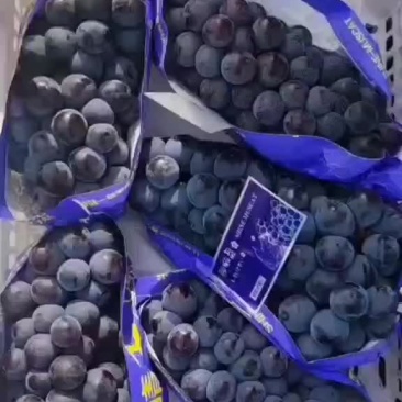 飓风