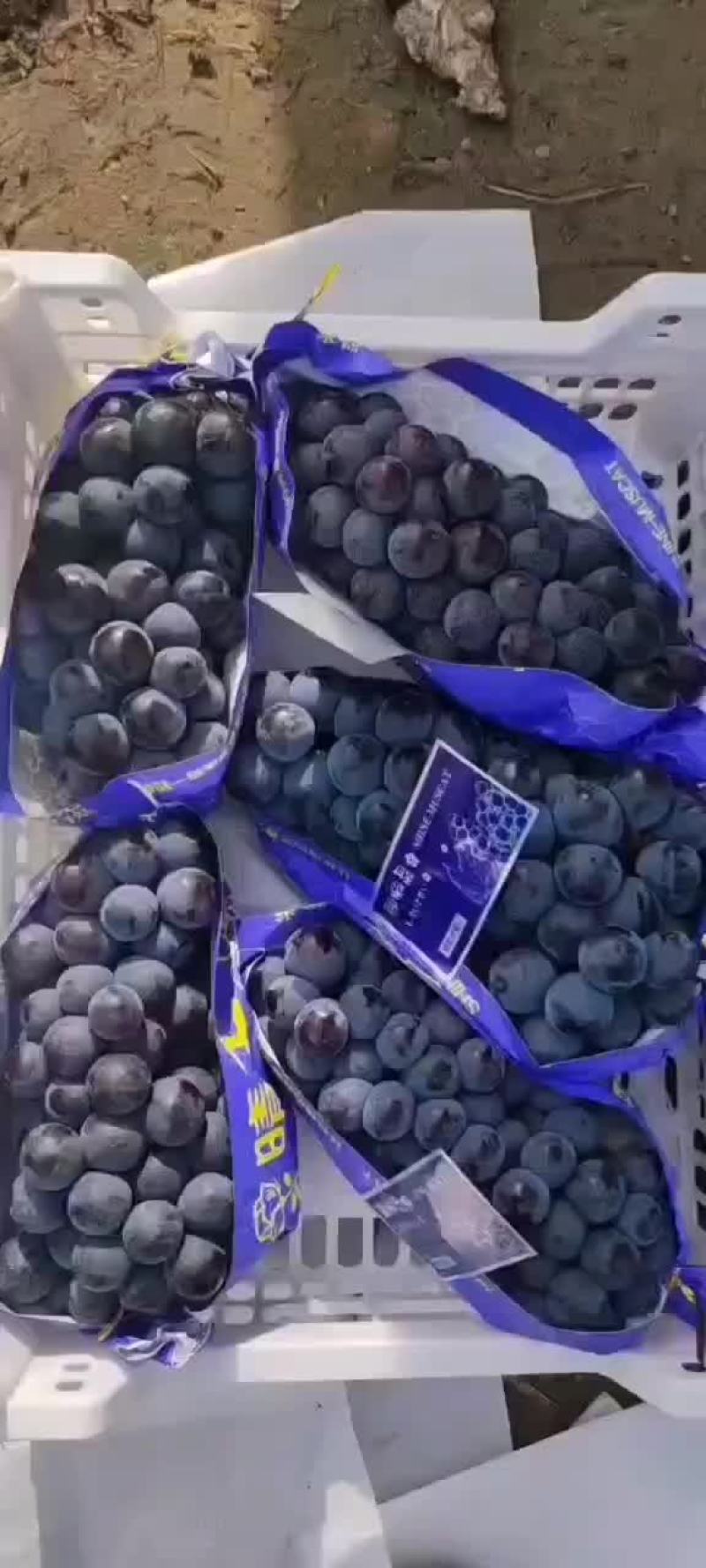 飓风