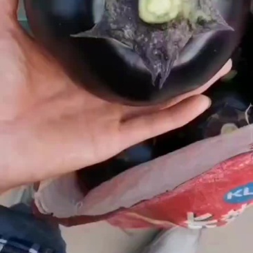大量有货，价格便宜，欢迎来电骚扰