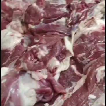 纯干无水带皮羊肉！