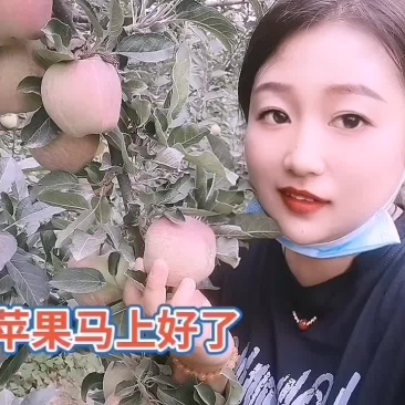 花牛苹果