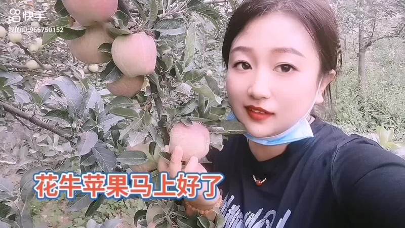 花牛苹果