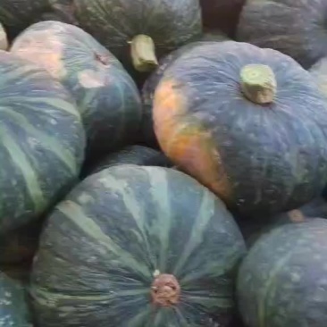 板栗