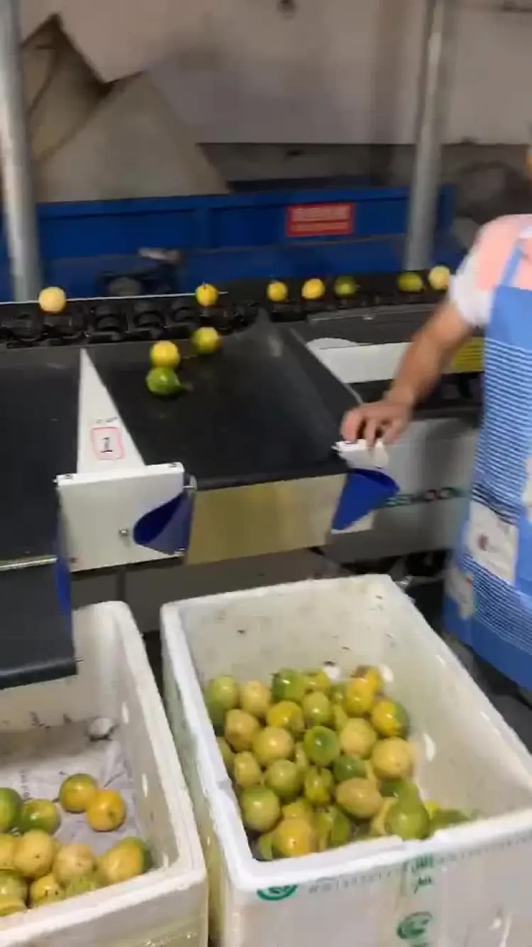 黄金百香果批发]黄金百香果新鲜水果热带礼盒装百香果黄金果价格13.00元/斤- 一亩田