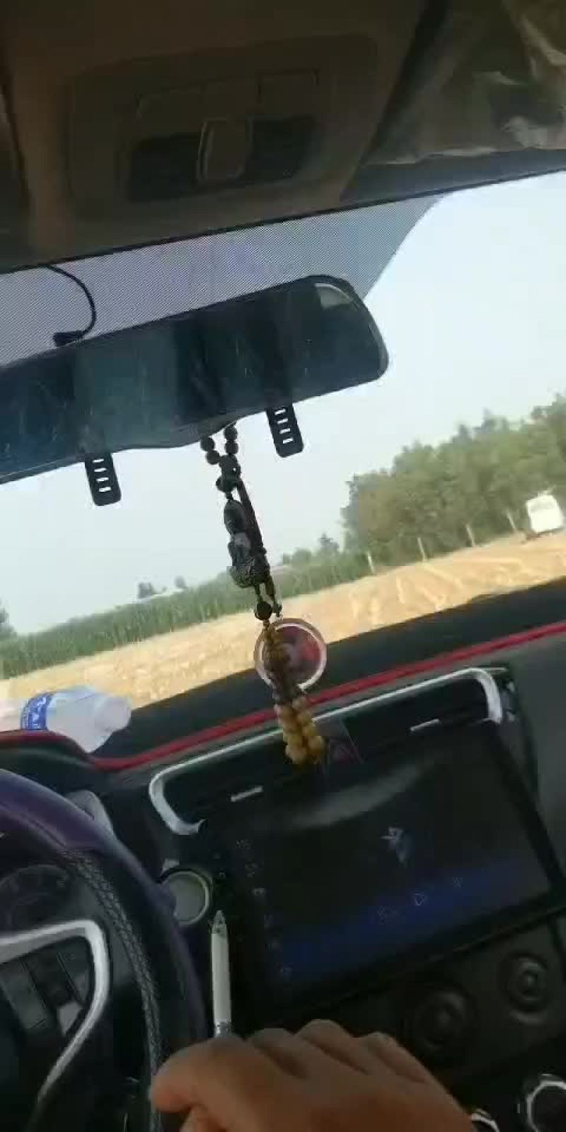 全珠青储玉米
