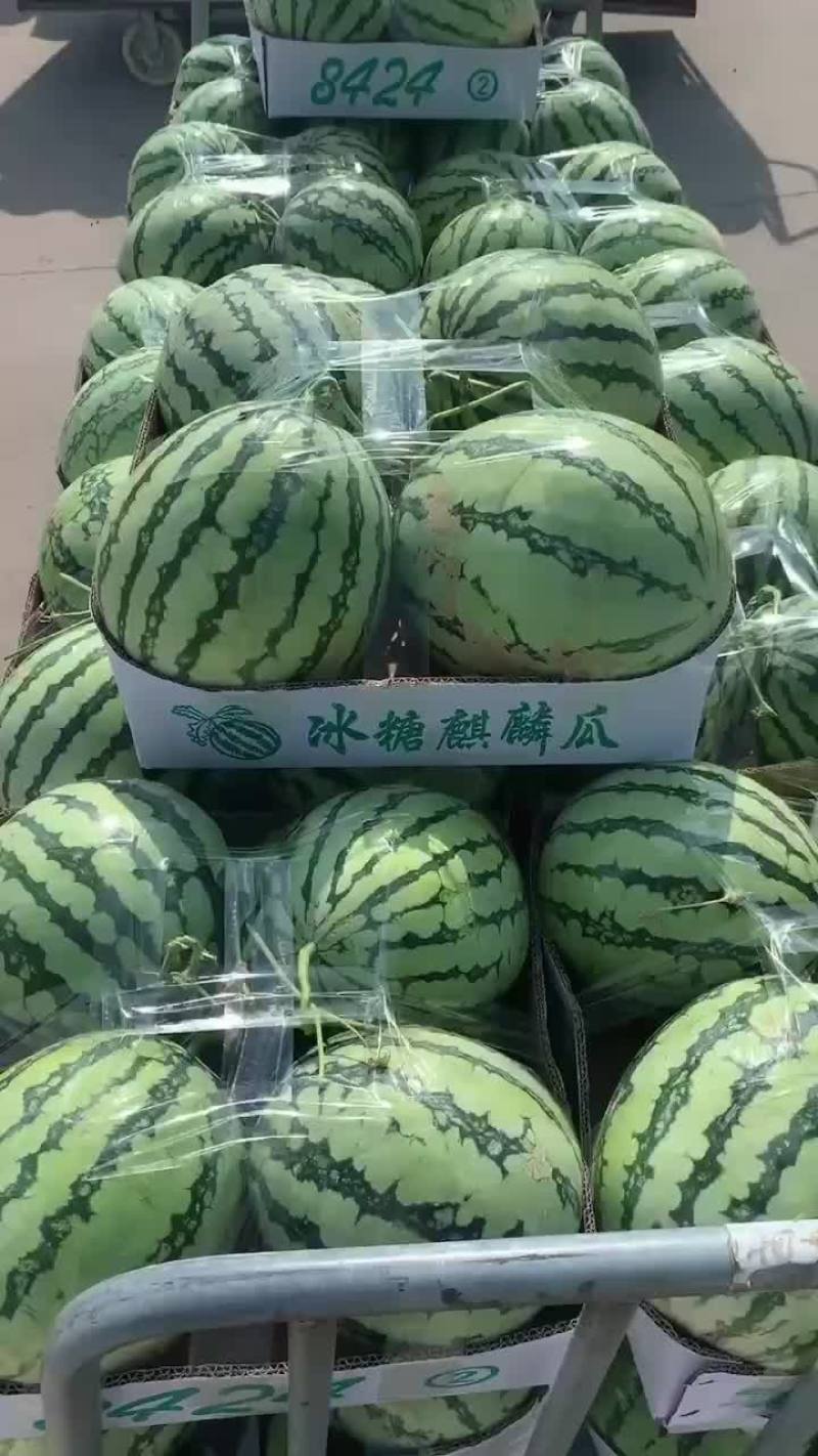 盐城美度大量现货全国代发