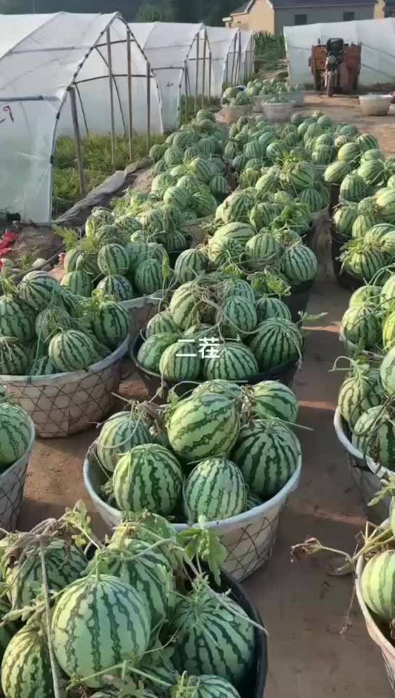 盐城美度大量现货全国代发