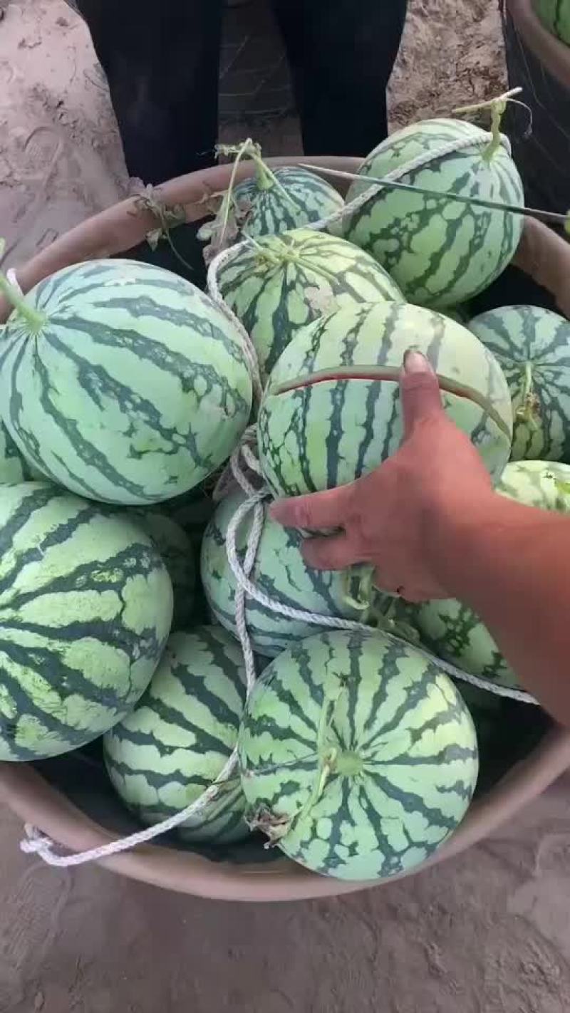 盐城美度大量现货全国代发