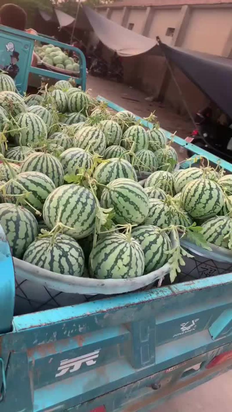 盐城美度大量现货全国代发
