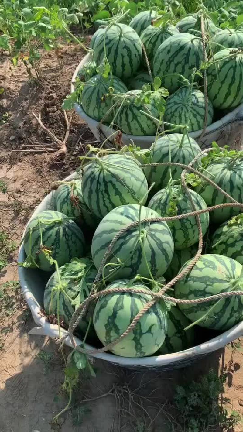 盐城美度大量现货全国代发