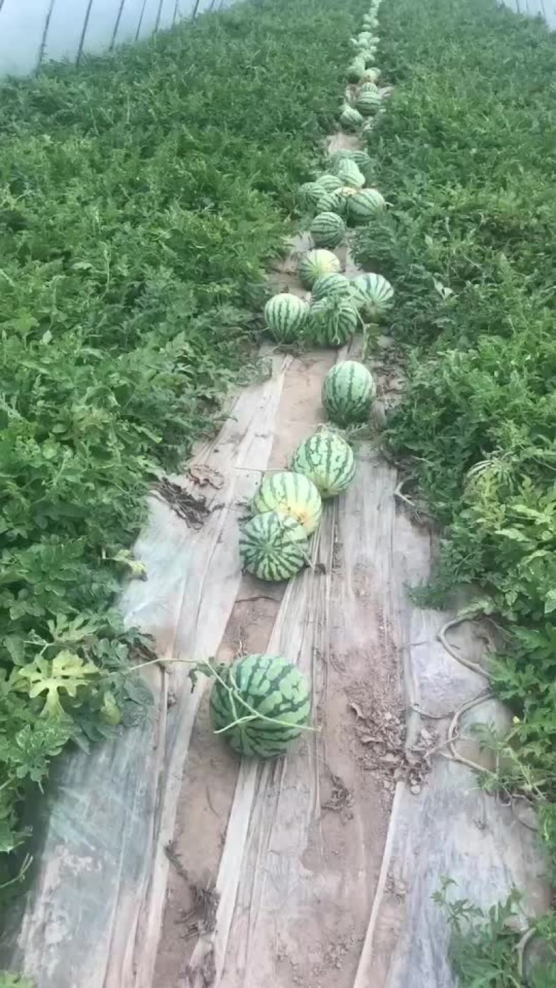 盐城美度大量现货全国代发