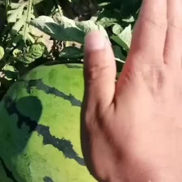 大量上市中