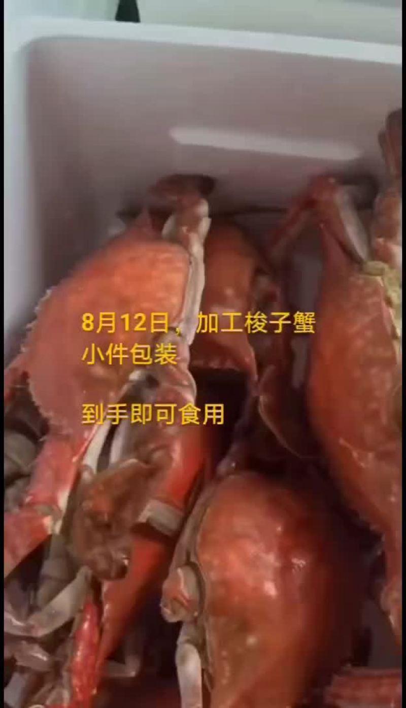 梭子蟹