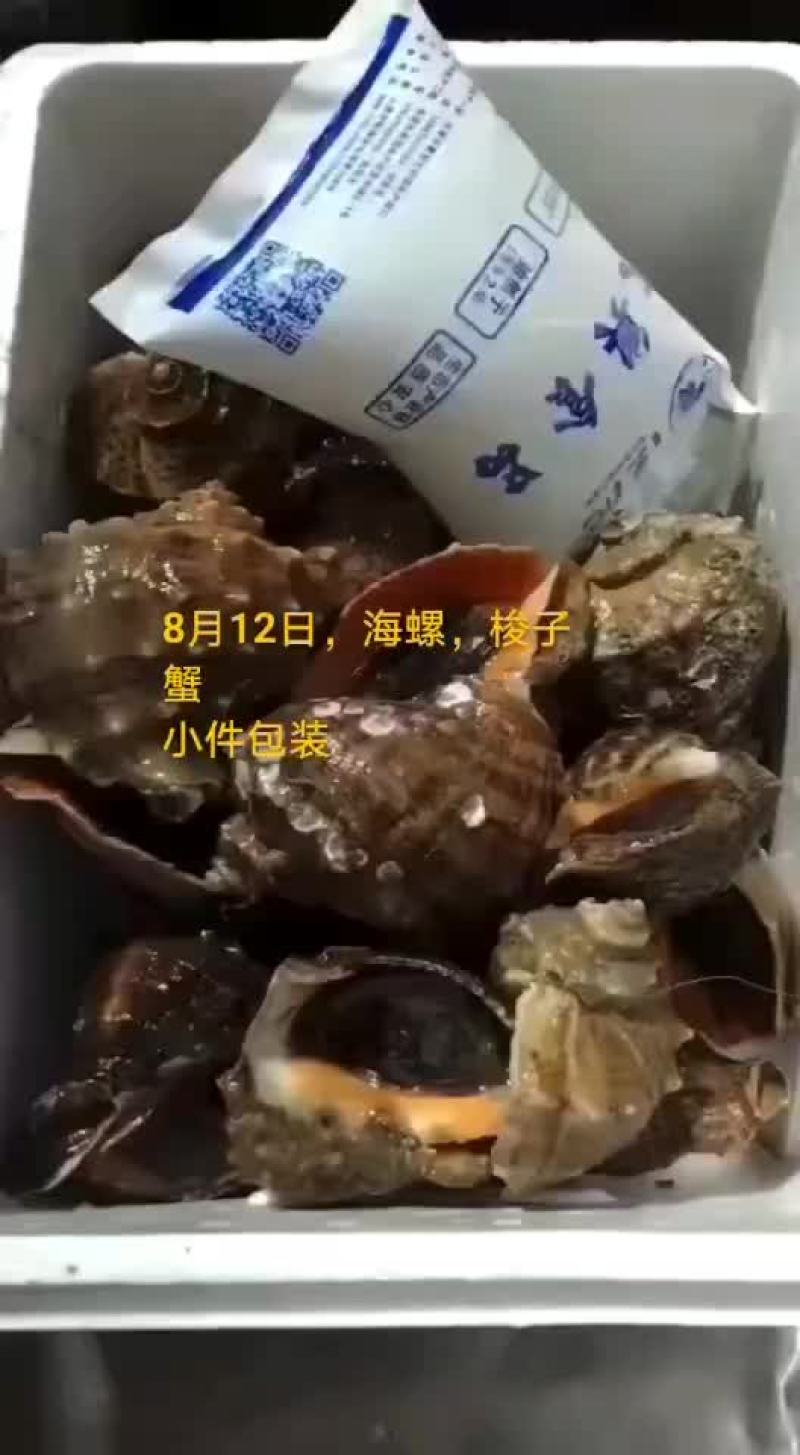 梭子蟹