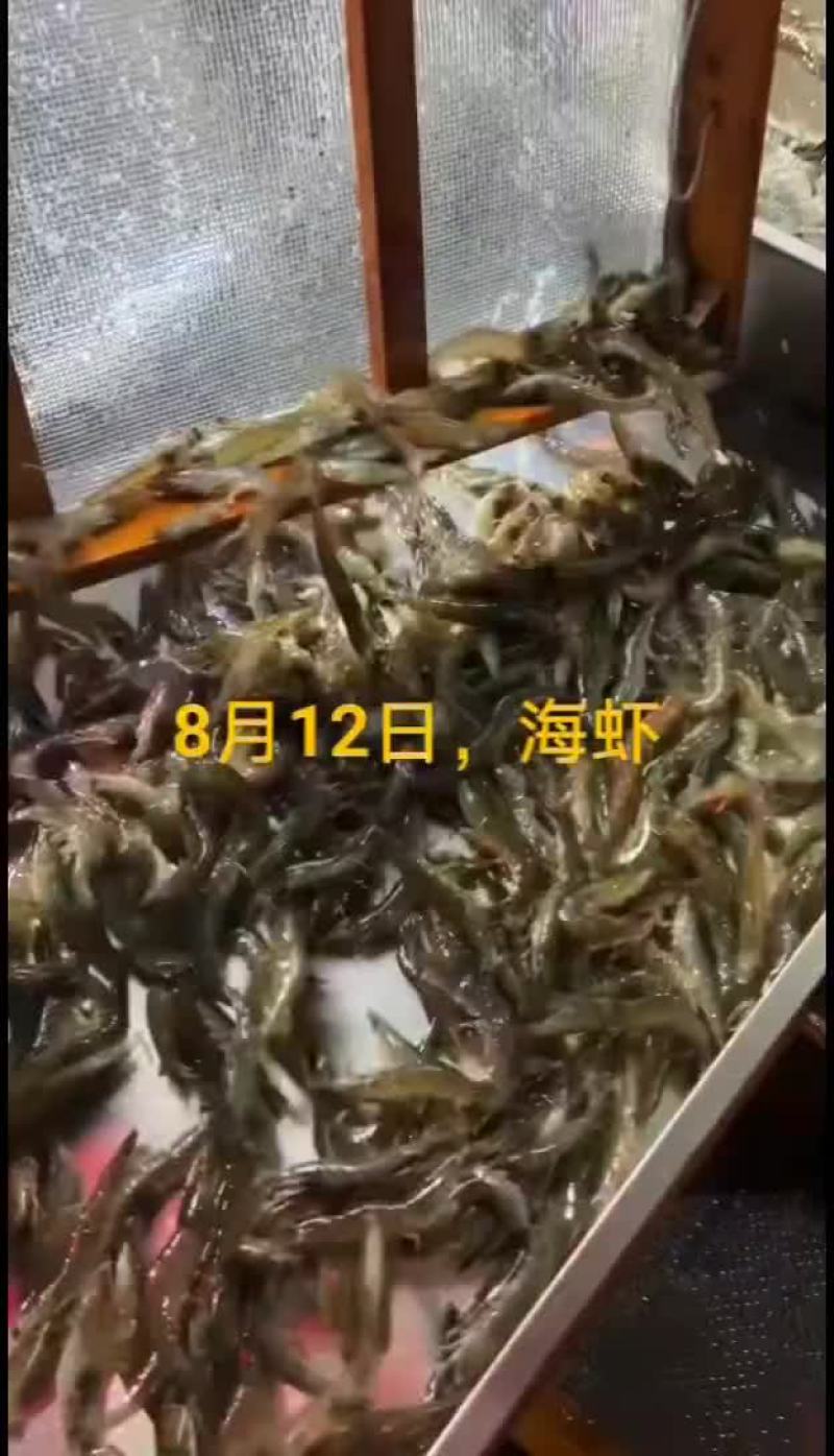 梭子蟹