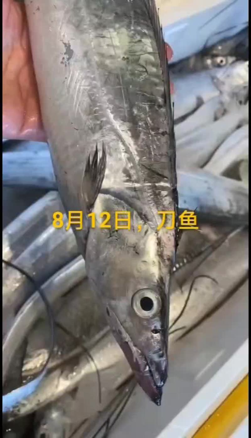 梭子蟹