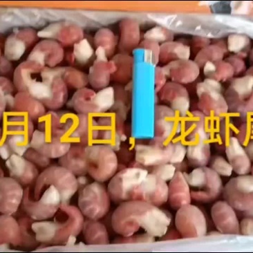 龙虾尾