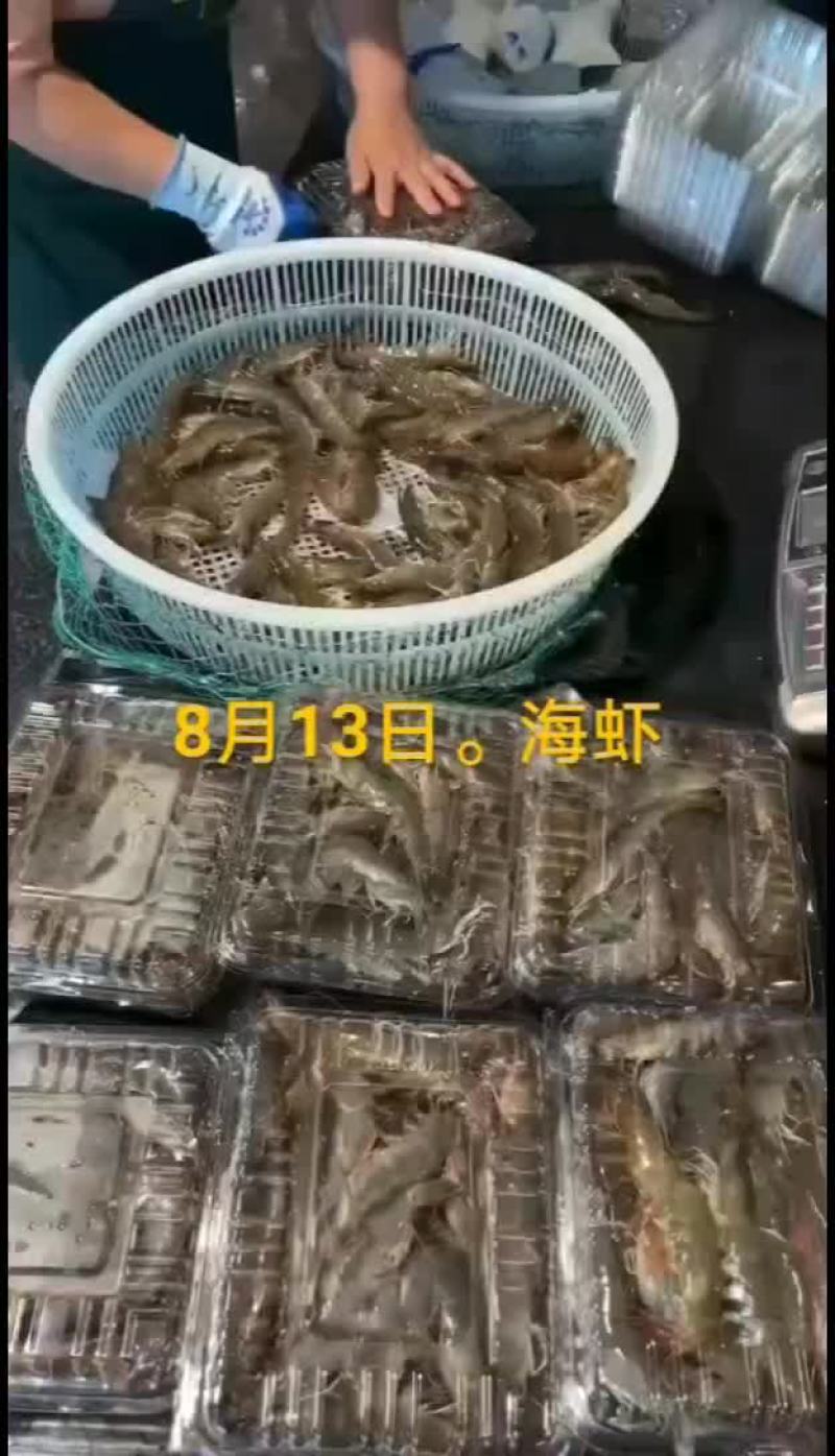 刀鱼