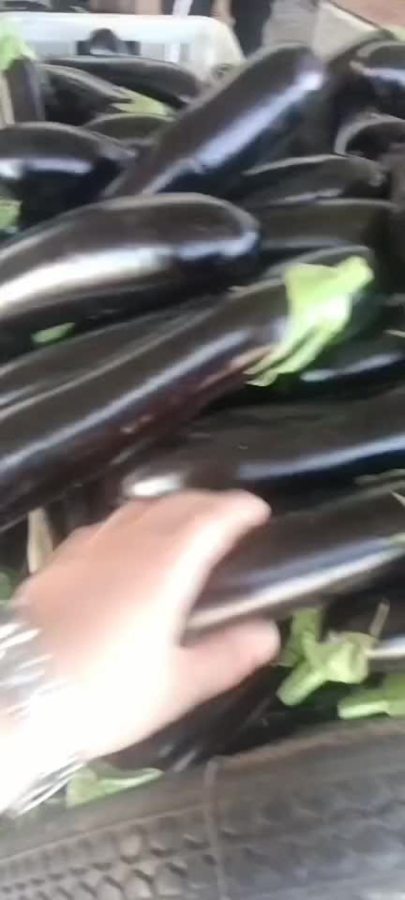 茄子