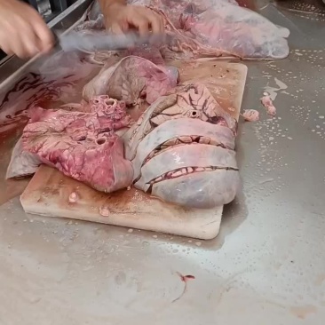 新鲜牛肺，一手货源，坐标广东佛山