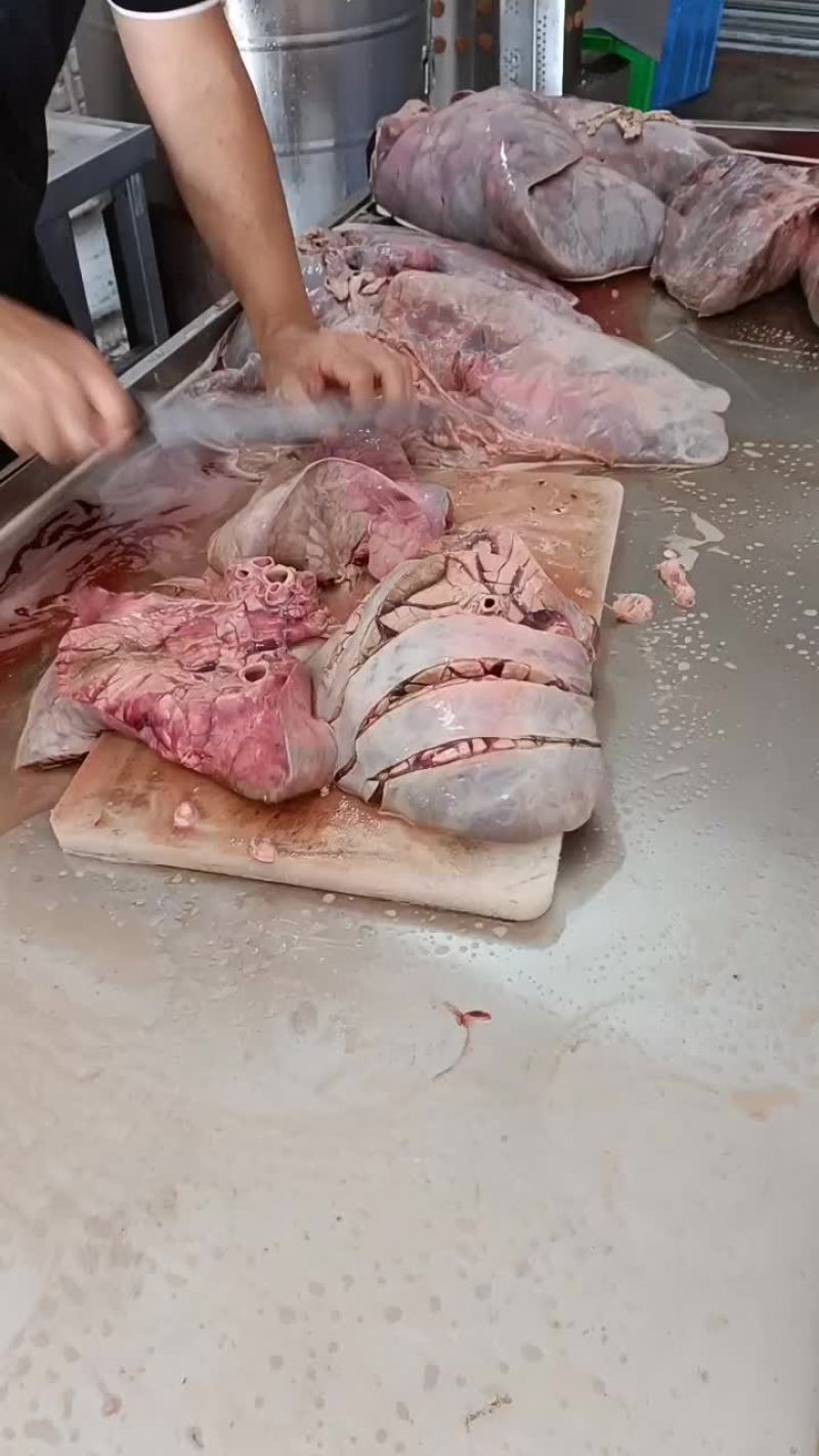 新鲜牛肺，一手货源，坐标广东佛山