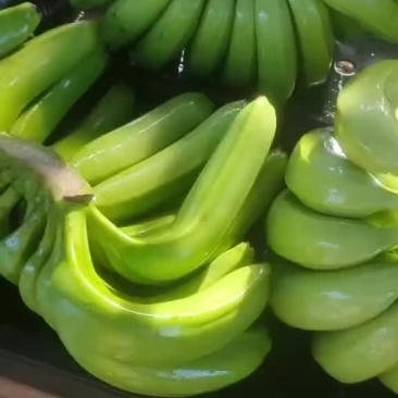 香蕉
