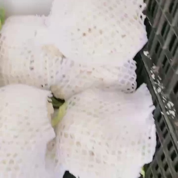 菜
