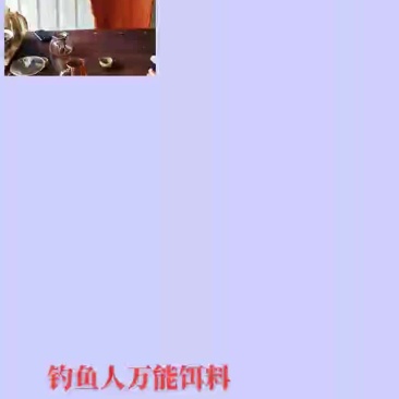 钓鱼饵料