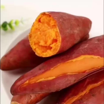 红薯