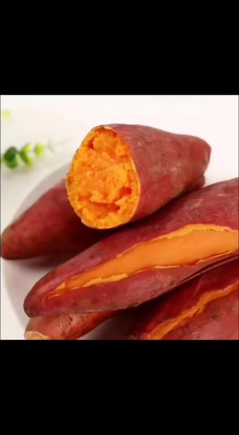 红薯